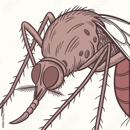 Hyper realistic mosquito head and mouthparts close