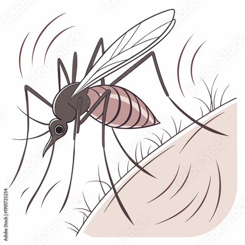 Mosquito biting human skin with visible proboscis and hair