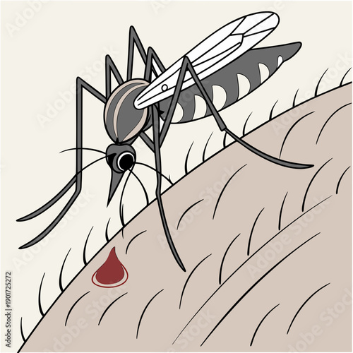 Mosquito biting skin with droplet insect