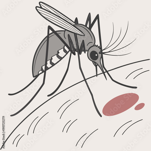 Mosquito biting skin with red spot insect