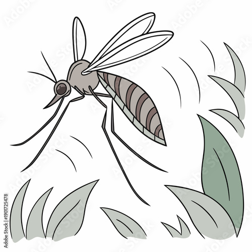 Mosquito landing motion sequence frozen insect flying