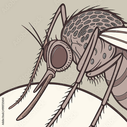 Ultra detailed mosquito eye and antenna macro insect 1