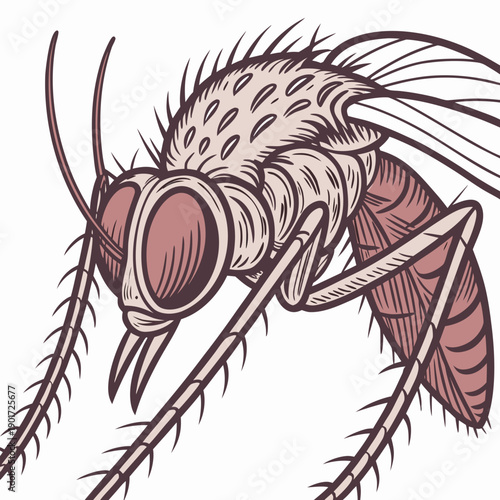 Ultra detailed mosquito eye and antenna macro insect