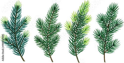Set of stylized green conifer branches with detailed pine needles isolated on grey background for winter and forest nature designs