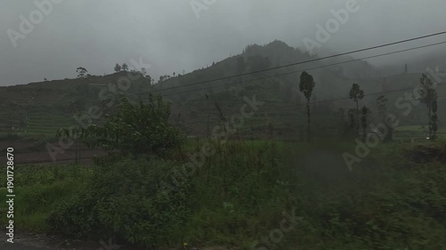 Driving on Wet Road Surrounded by Dense Fog