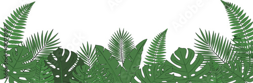 Tropical leaves border illustration featuring various green foliage plants and ferns