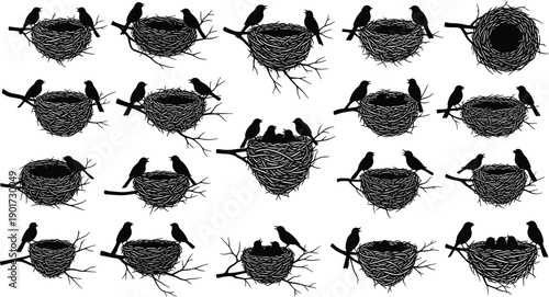 Beautiful Bird Nest Silhouette Collection with Parent Birds Feeding Chicks on Tree Branches Isolated on White Background for Nature Wildlife Graphic Design