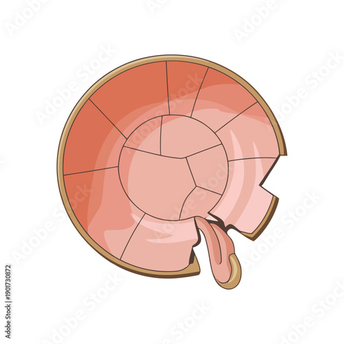 Cracked ceramic plate top view, broken dish vector for kintsugi theme, repair story, mindful living poster, food waste awareness design