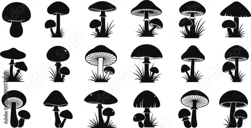 Black mushroom silhouettes collection, various fungus shapes and forest toadstool icons for organic food, nature design, autumn season and mystical fairytale art