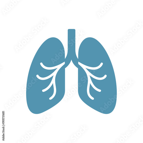 Human lungs anatomy vector icon, respiratory system health symbol for medical presentation, biology lesson, hospital infographic, asthma awareness, clinic education