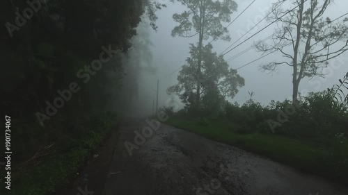 Driving on Wet Road Surrounded by Dense Fog