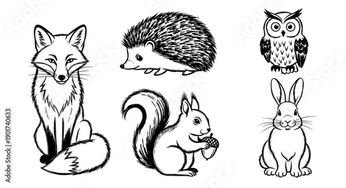 Collection of Hand Drawn Forest Animals Fox Hedgehog Owl Squirrel Rabbit.
