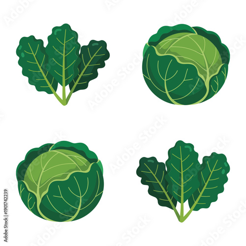 Leafy greens variety icons, collard, kale, cabbage, farm to table dinner poster, saute lesson session, nutrition facts booth and flyers