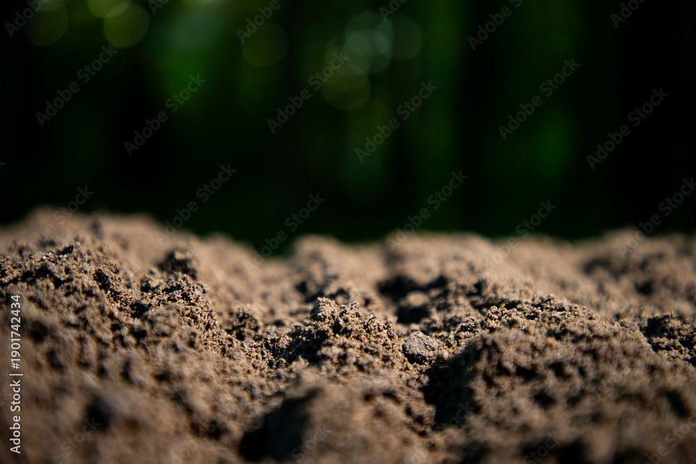 Fototapeta premium Humus and earth ground. Farming concept with soil and farm ground. Agricultural field cultivated land. Soil for planting and farming.