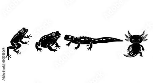 Collection of Amphibians and Reptiles Silhouettes.