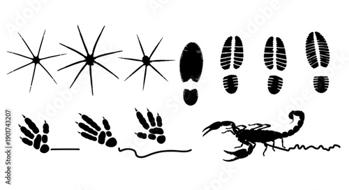 Collection of animal and human footprints and scorpion silhouette.