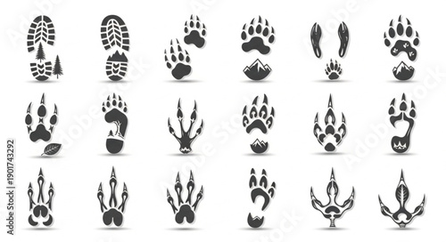 Collection of animal and human footprints and tracks.