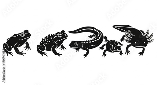 Collection of Amphibians and Larvae Silhouettes.