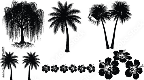 Vector, black, silhouette, illustration, set, of, tropical, palm, trees, weeping, willow, and, hibiscus, flowers, for, summer, beach, island, nature, and, exotic, botanical, garden, design