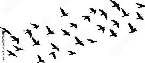 Silhouette of a flock of birds flying in formation isolated on white background, nature wildlife wings group migration concept design