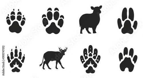Collection of Animal Footprints and Silhouettes.