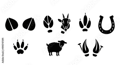 Collection of Animal Footprints and Symbols.