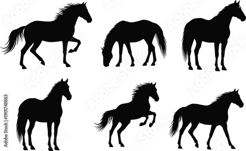 Horse silhouette set, running and standing equine poses isolated on white background for farm and ranch design