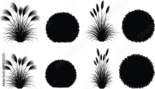 Ornamental grass and round bush silhouettes, garden shrub plants isolated on white background for landscape design set