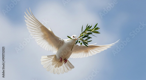 White dove flying with olive branch in beak against blue sky with white clouds symbolizing peace and freedom