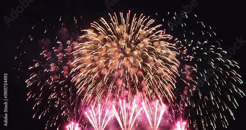 Wallpaper Mural Fireworks explode in night sky. Torontodigital.ca