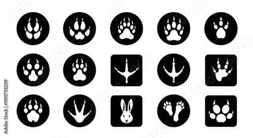 Collection of Animal Paw Prints and Bird Footprints Icons.
