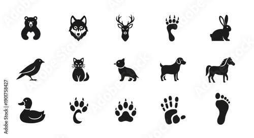 Collection of Animal Icons and Footprints Vector Set.