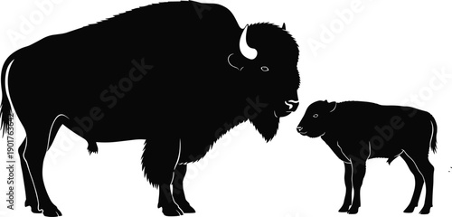 American bison silhouette with calf, wildlife parent and baby interaction, wild buffalo family concept, black vector illustration isolated on white background