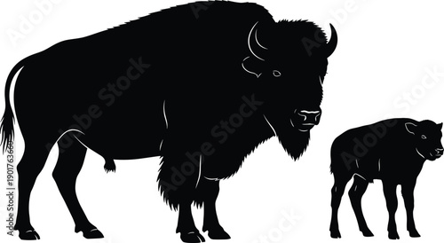 American bison silhouettes with calf, wildlife parent and offspring concept, wild animal family illustration, black vector art isolated on white background