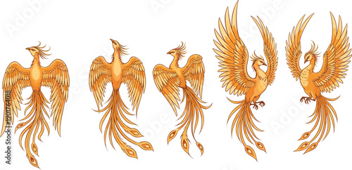Golden phoenix bird illustration set, mythological fire bird poses, fantasy rebirth symbol vector collection for logo, tattoo, branding designs