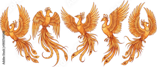 Golden phoenix bird illustration set, mythological fire bird with spread wings, fantasy rebirth symbol vector collection for logo, tattoo, and design use