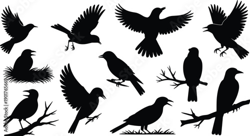 Black bird silhouettes set, flying and perched birds, nest and branches, wildlife animal vector illustration isolated on white background
