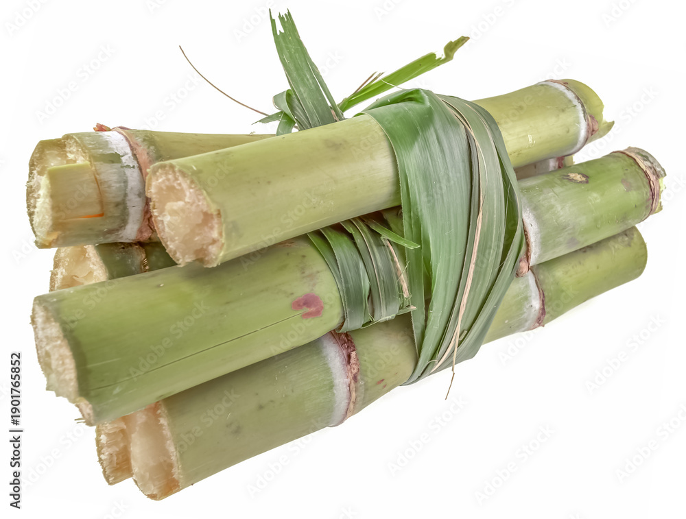 custom made wallpaper toronto digitalPaquet de cannes à sucre 