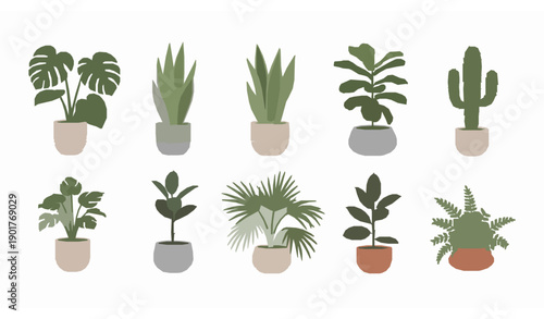Modern indoor houseplants vector set with minimalist potted plants for home and apartment decor