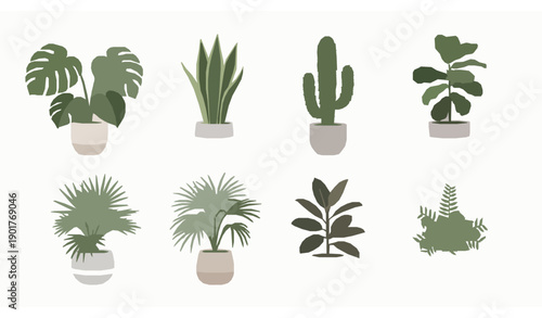 Elegant decorative houseplants vector set for interior styling home backyard and apartment design