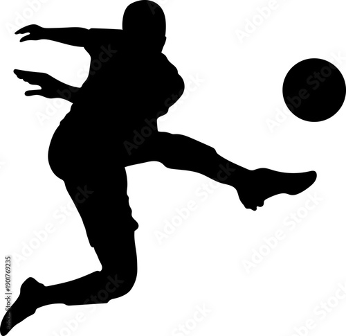 Silhouette Side Kick Gesture Pose that Hits the Target Precision