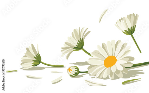 Delicate white daisies floating gently through the air, capturing a serene moment in a soft, ethereal environment from a straightforward viewpoint.