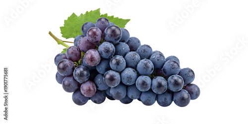 Freshly Washed Cluster of Dark Purple Grapes with Water Droplets and Green Leaf on a Solid Hue