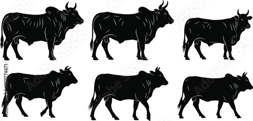 Tableau sur toile Brahman bull and cow silhouette vector collection, set of humped zebu cattle icons for farm, livestock, and butchery design elements