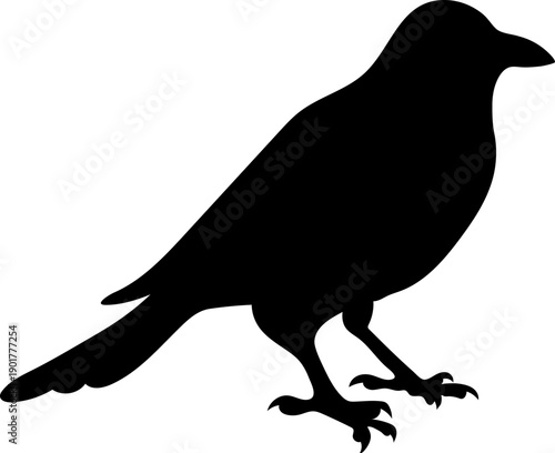 Halloween Black Crow or Raven Bird Silhouette Clipart