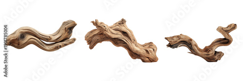 Set of flowing driftwood branches with smooth curves and natural grain for organic design Isolated on a transparent background