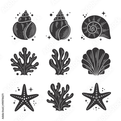 Vector black and white sea shells, coral, and starfish icons set with dots and stars, isolated on white