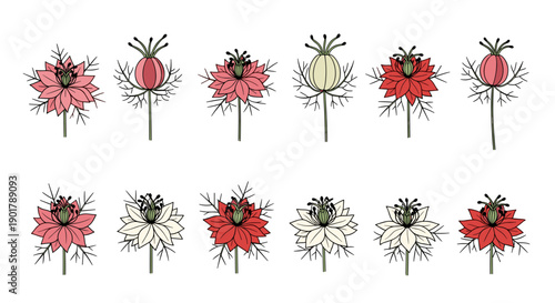 Collection of colorful floral illustrations with various flower types