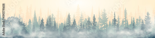 Forest and taiga in morning fog, dawn light, misty forest, vector illustration