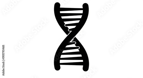 Double Helix DNA Structure Illustration on White Background from a Front Viewpoint